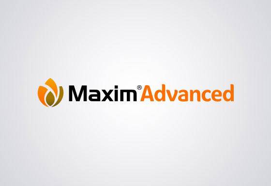 Maxim Advanced - 0